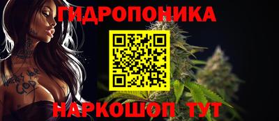 спиды Будённовск