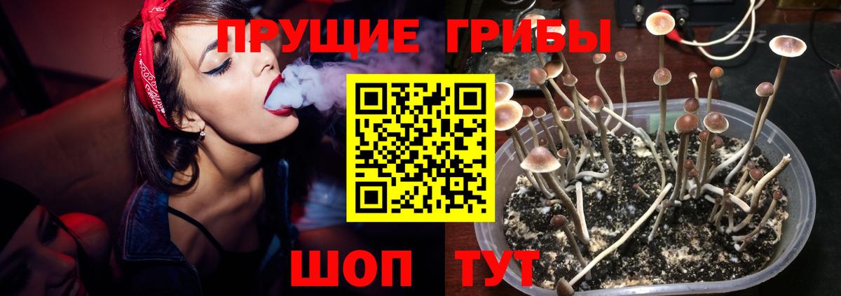 Псилоцибиновые грибы мухоморы  Псилоцибиновые грибы ЛСД  Лосино-Петровский  Вход с VPN 