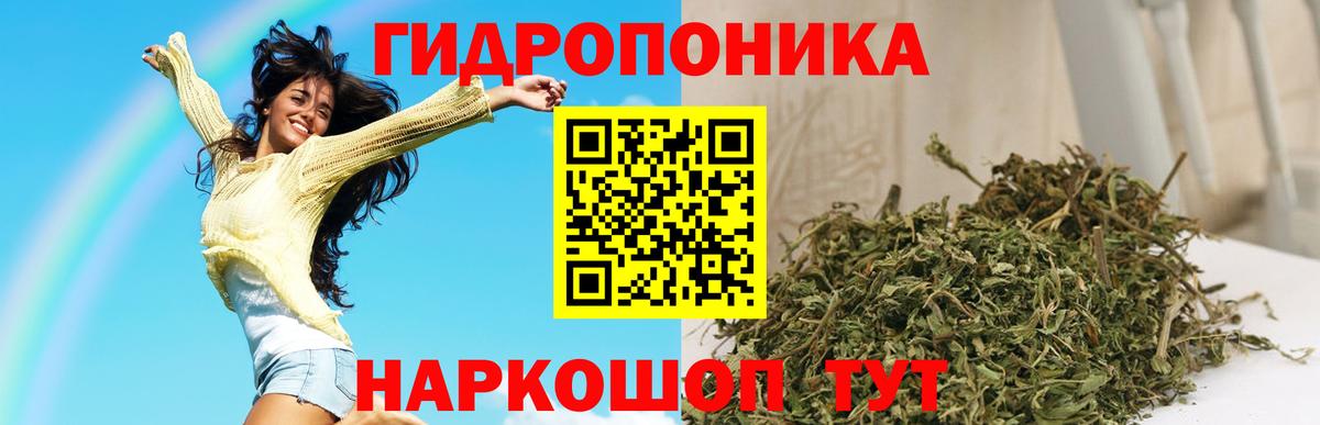 Бошки Шишки сатива  Бошки Шишки SATIVA & INDICA  Вход с VPN  Лосино-Петровский  Бошки марихуана THC 21% 